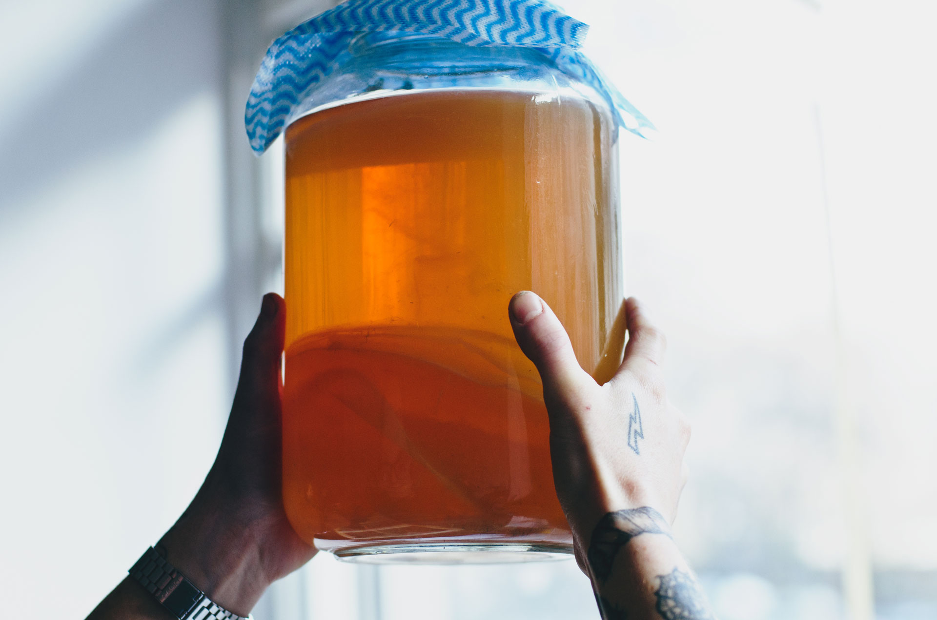 Berlin Kombucha Society made a new batch of delicious and healthy fermented tea with a SCOBY