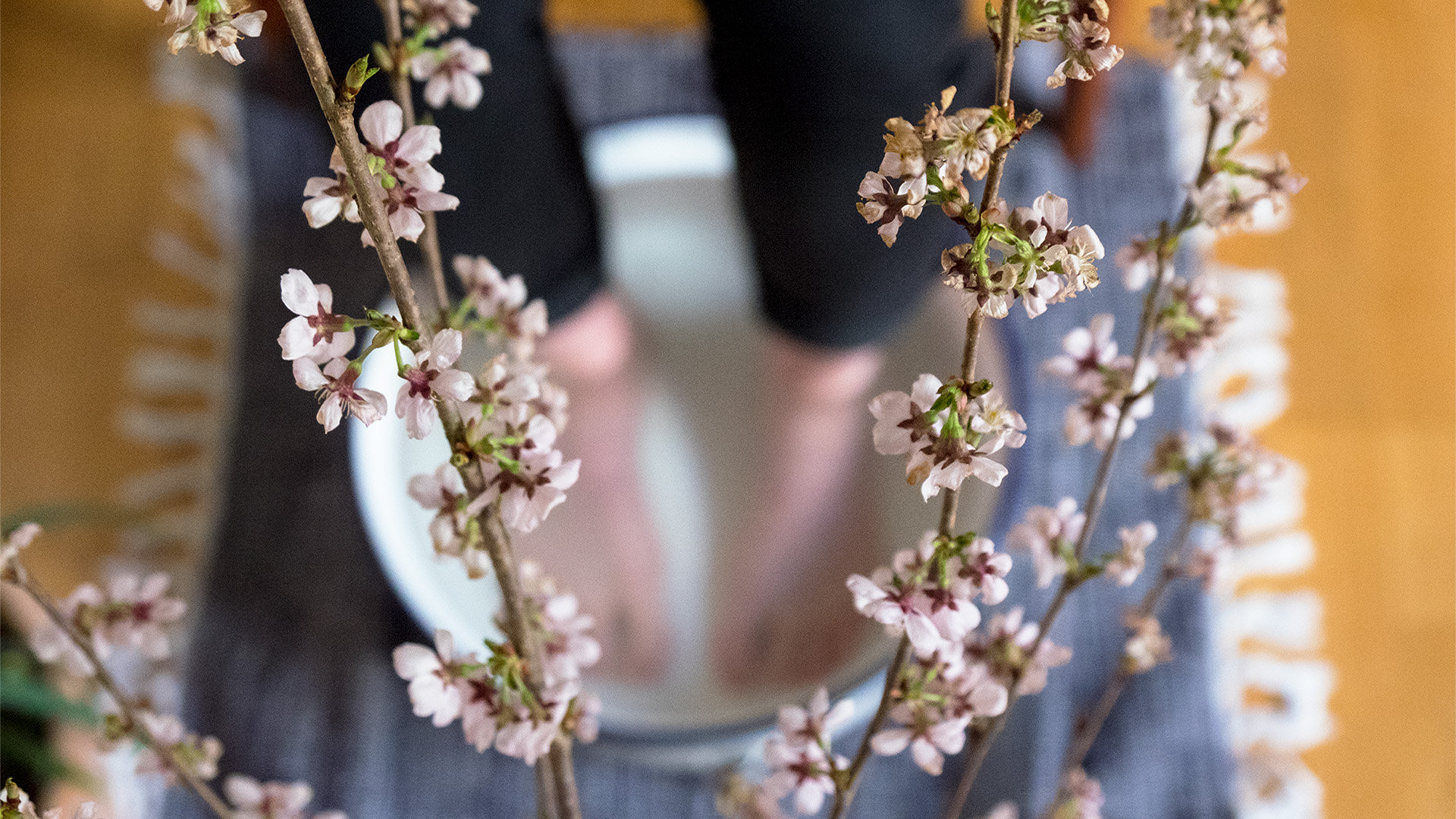 Ryoko Hori's Detoxing Footbath for Spring Detox with her Senses Salon and Foodadit